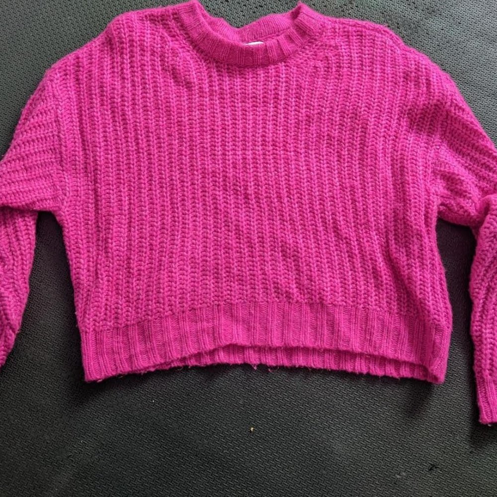 Hot Pink Knit Sweat - American Eagle